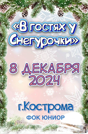 в Костроме в гостях у Снегурочки 8 декабря